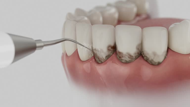 Reliable Dental contractor in Ingleside, TX by Dentist Open Now